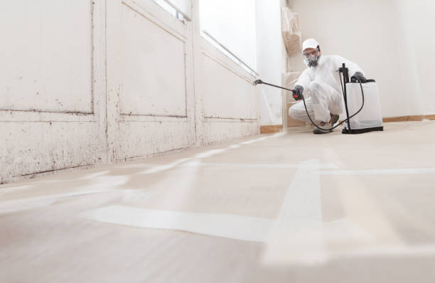 24/7 Emergency Mold Testing experts in Rockwood, MI