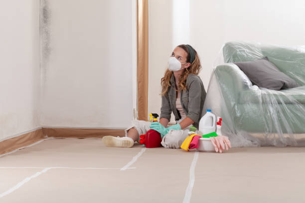 Reliable Mold Testing contractor in Rockwood, MI by WQB Mold Removal